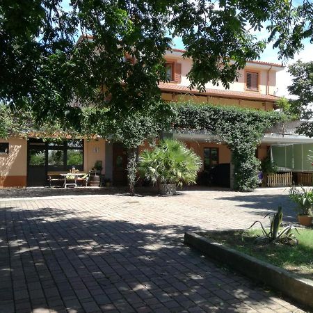 Guesthouse Skofije Ob Parenzani Spodnje Skofije Kültér fotó
