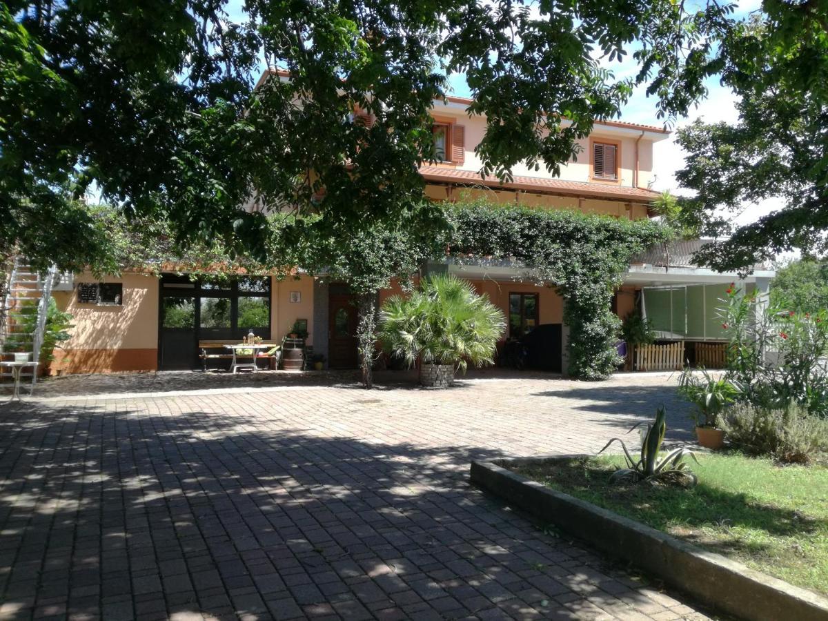 Guesthouse Skofije Ob Parenzani Spodnje Skofije Kültér fotó