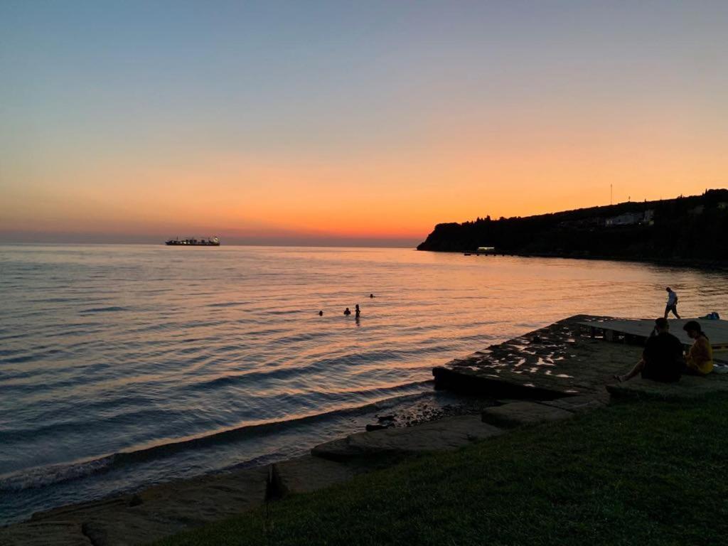 Guesthouse Skofije Ob Parenzani Spodnje Skofije Kültér fotó